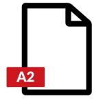 a2